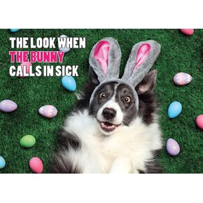 The Bunny Did It Happy Easter Greeting Card with Mailing Envelope