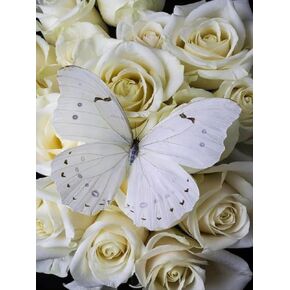 White Roses and Butterflies DIY 5D Diamond Painting Kits for Adults, Butterfly Flowers Diamond Art Painting Kit Full Round Drill Diamond Art Kits Gifts 30x40cm