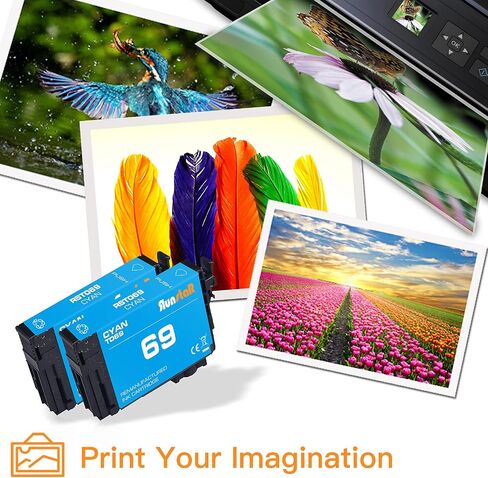 Run Star 2 Pack 69 T069 Cyan Reductured Ink Cartridge Presentive for Epson 69 T069 استخدم لـ Epson Stylus C120 Cx5000 Cx6000 Cx8400 Cx9400 NX110 NX300 NX400 NX415 Forrince 30 610 Printer (2 Cyan) in Kuwait