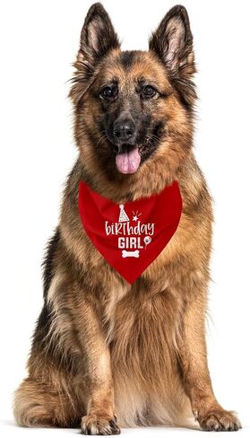 Dog Birthday Bandana, Dog Scarf, Dog Birthday Girl, Dog Bandana for Small Medium Large Dogs, Happy Birthday Dog Bandana, Wine Red Dog Bandana, Dog First Birthday (A24) in Kuwait