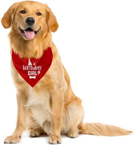 Dog Birthday Bandana, Dog Scarf, Dog Birthday Girl, Dog Bandana for Small Medium Large Dogs, Happy Birthday Dog Bandana, Wine Red Dog Bandana, Dog First Birthday (A24) in Kuwait