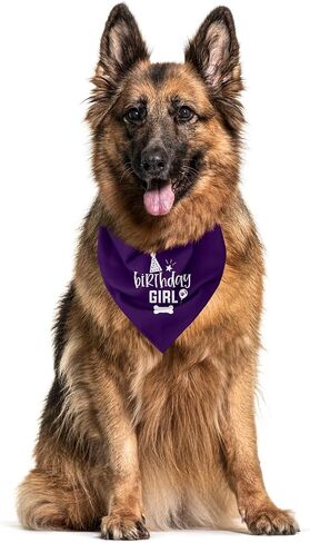 Dog Birthday Bandana, Dog Scarf, Dog Birthday Girl, Dog Bandana for Small Medium Large Dogs, Happy Birthday Dog Bandana, Wine Red Dog Bandana, Dog First Birthday (A24) in Kuwait