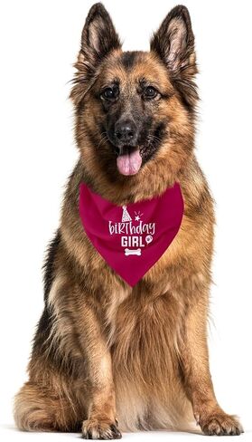 Dog Birthday Bandana, Dog Scarf, Dog Birthday Girl, Dog Bandana for Small Medium Large Dogs, Happy Birthday Dog Bandana, Wine Red Dog Bandana, Dog First Birthday (A24) in Kuwait