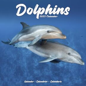 2025 Dolphins Wall Calendar, 12X12, Avonside Publishing