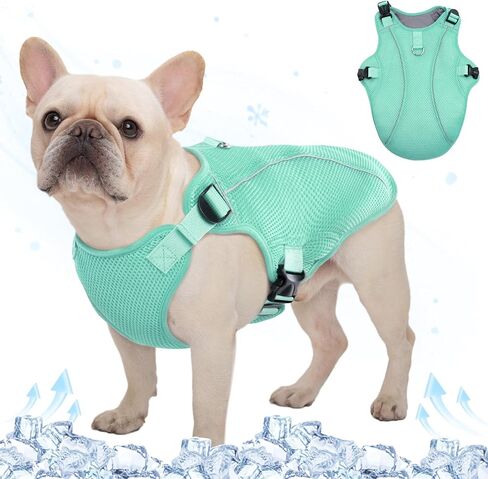 Kuoser Dog Cooling Vest Harness, Small Dog Cooler Jacket with Adjustable Buckle for Outdoor Beach, Hiking, Training Green M in Saudi Arabia