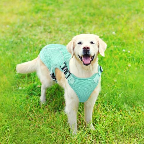 Kuoser Dog Cooling Vest Harness, Small Dog Cooler Jacket with Adjustable Buckle for Outdoor Beach, Hiking, Training Green M in Saudi Arabia