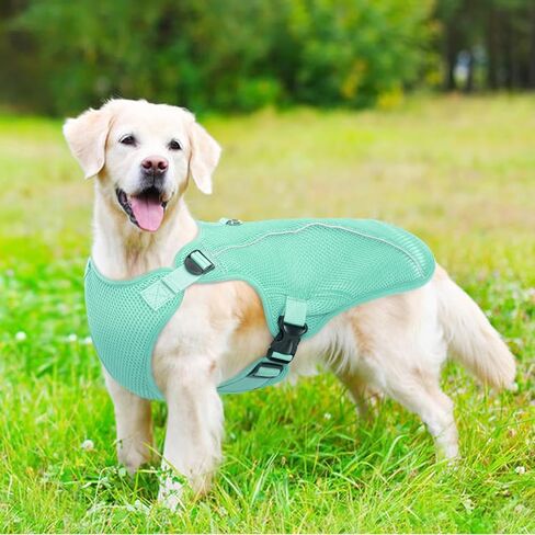 Kuoser Dog Cooling Vest Harness, Small Dog Cooler Jacket with Adjustable Buckle for Outdoor Beach, Hiking, Training Green M in Saudi Arabia