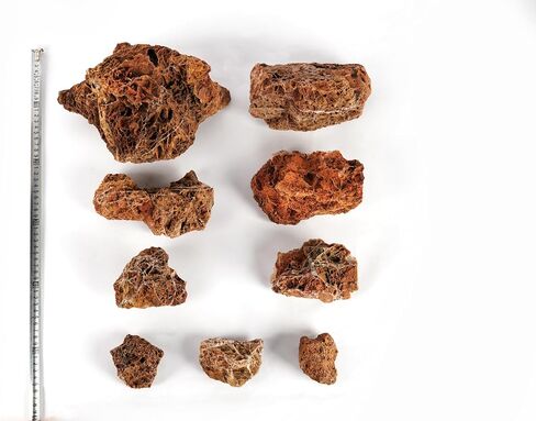 LANDEN Maple Leaves Stone Natural Rocks (18lbs, 3~9 inches,9pcs) for Aquarium, Paludarium, Terrariums, Decorative of Forest Creeks, lakesides, and Streams in Saudi Arabia
