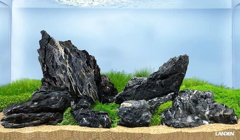 LANDEN Maple Leaves Stone Natural Rocks (18lbs, 3~9 inches,9pcs) for Aquarium, Paludarium, Terrariums, Decorative of Forest Creeks, lakesides, and Streams in Saudi Arabia