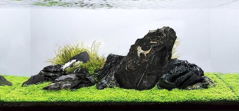 LANDEN Maple Leaves Stone Natural Rocks (18lbs, 3~9 inches,9pcs) for Aquarium, Paludarium, Terrariums, Decorative of Forest Creeks, lakesides, and Streams in Saudi Arabia