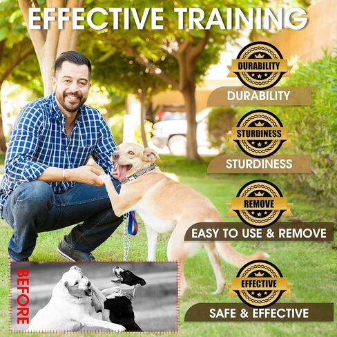 Adjustable Training Collar with Quick Release Buckle, No Pull Collar for Small Medium Large Dogs,Packed with Extra 2 Links,S in Saudi Arabia