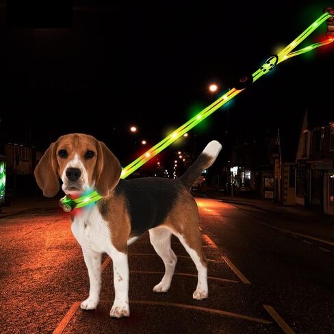 Led Light Up Dog Collar and Leash for Night Time Walking Glow in The Dark Dog Leashes and Collars Set Waterproof Rechargeable in Saudi Arabia