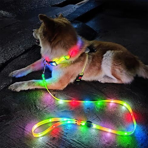 Led Light Up Dog Collar and Leash for Night Time Walking Glow in The Dark Dog Leashes and Collars Set Waterproof Rechargeable in Saudi Arabia