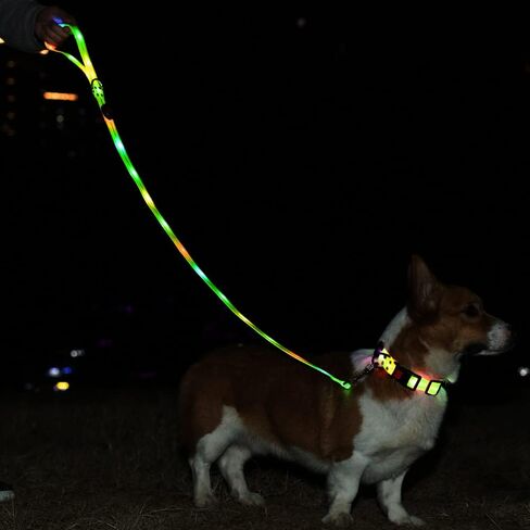 Led Light Up Dog Collar and Leash for Night Time Walking Glow in The Dark Dog Leashes and Collars Set Waterproof Rechargeable in Saudi Arabia