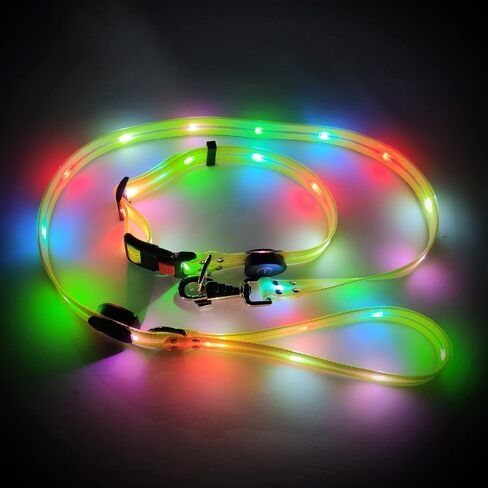 Led Light Up Dog Collar and Leash for Night Time Walking Glow in The Dark Dog Leashes and Collars Set Waterproof Rechargeable in Saudi Arabia