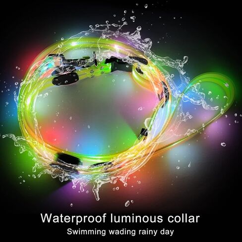 Led Light Up Dog Collar and Leash for Night Time Walking Glow in The Dark Dog Leashes and Collars Set Waterproof Rechargeable in Saudi Arabia