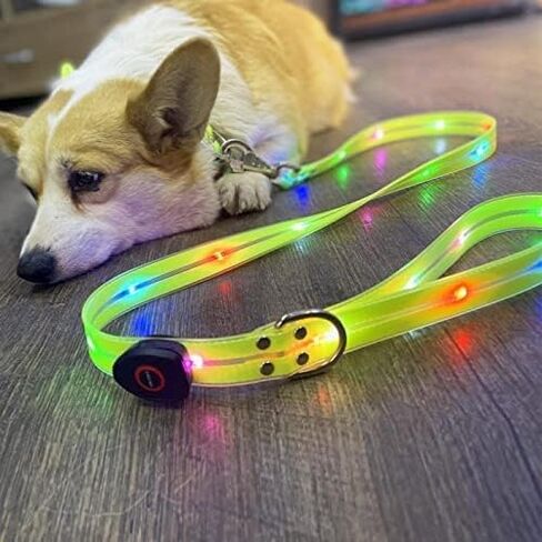 Led Light Up Dog Collar and Leash for Night Time Walking Glow in The Dark Dog Leashes and Collars Set Waterproof Rechargeable in Saudi Arabia