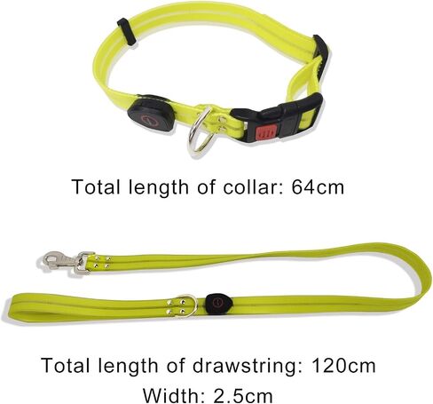Led Light Up Dog Collar and Leash for Night Time Walking Glow in The Dark Dog Leashes and Collars Set Waterproof Rechargeable in Saudi Arabia