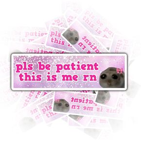 3PCS Pls Be Patient This is Me Rn Sticker Funny Meme Bumper Sad Hamster Big Eyes Sticker for Kids Teens, Waterproof Vinyl Stickers, Aesthetic Laptop Stickers, Stickers for Water Bottles 2in