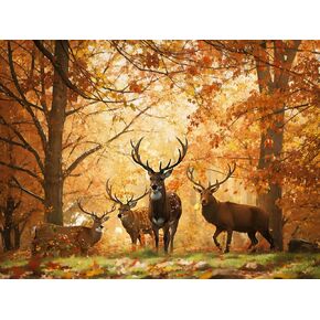 Ginfonr DIY 5D Diamond Art Kits for Adults, Deer Diamond Painting for Adults, Diamond Art Animals Full Drill, Diamond Art Kits Embroidery Rhinestone Craft for Home Wall Decor 12 * 16 Inch