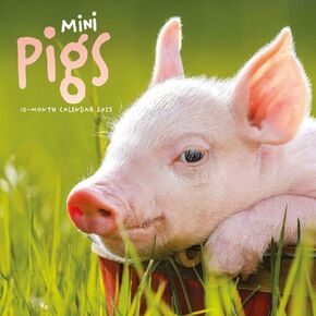 Carousel Calendars, Mini Pigs 2025 Wall Calendar