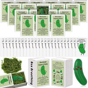 20 Sets Social Worker Gifts Bulk Emotional Support Positive Appreciation Gifts for Employee Coworkers Teacher Volunteer Team End of Year Presents Graduation Party Favors (Pickle)