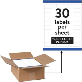 Avery Waterproof Labels with Ultrahold Adhesive, 1" x 2-5/8", Case of 15,000 Labels for Laser Printers (95520)