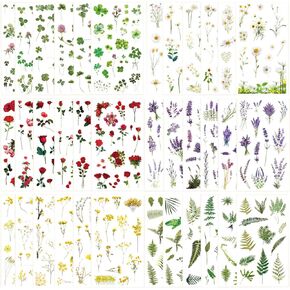 520+PCS Transparent Scrapbook Planner Stickers, Self-Adhesive Nature Plant Flower Stickers, Used for Junk Journal Bullet Journal Supplies Sticker Pack, DIY Resin Decoration Water Bottles Refrigerator