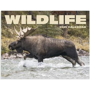 Wildlife Animals 2025 Hanging Wall Calendar - 19" x 11" (Open) 2025 Monthly Appointment Planner and Organizer. Beautiful pictures of wildlife animals.