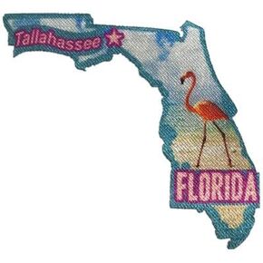 Tallahassee Florida State Shape Capitol City Iron On Patch Printed Perfect for Jackets, Hats, and Backpacks