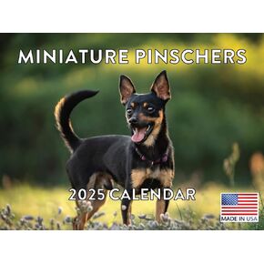 Miniature Pinscher Calendar 2025 Min Pin Monthly Wall Calender | American Made In The USA