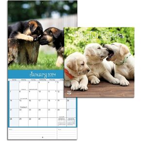 Turner Photographic Playful Puppies Photo Mini Wall Calendar (24998950017)