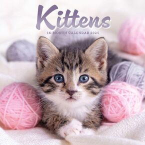 Carousel Calendars, Kittens 2025 Mini Wall Calendar