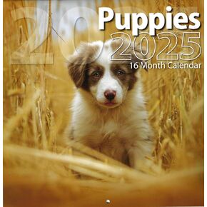 Bachmann Press 2025 Puppies Full Size Wall Calendar for Planning, Scheduling, and Organizing