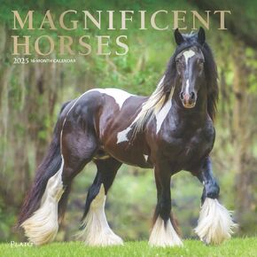 BrownTrout, Magnificent Horses Plato 2025 Wall Calendar