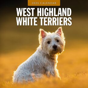 Red Robin 2025 West Highland White Terriers Monthly Wall Calendar | 12" x 24" Open | Premium Thick & Sturdy Paper | Hangable 12 Month Calendar | Plastic Free | 4 Month Transition Page for 2024