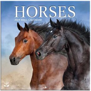 Turner Photographic Horses Photo Mini Wall Calendar (25998950006)