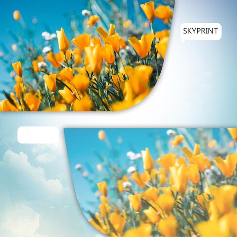 متوافق 106R03741 استبدال خرطوشة الحبر الأسود لـ Xerox C7020 C7025 C7030 Toner Versalink C7020 C7025 C7030 Printers. in Kuwait