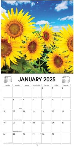 TURNER PHOTOGRAPHIC Sunflowers 12x12 Photo Wall Calendar (25998940054) in Saudi Arabia