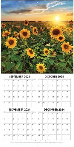 TURNER PHOTOGRAPHIC Sunflowers 12x12 Photo Wall Calendar (25998940054) in Saudi Arabia