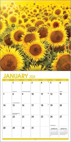 TURNER PHOTOGRAPHIC Sunflowers 12x12 Photo Wall Calendar (25998940054) in Saudi Arabia