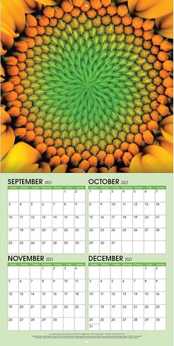 TURNER PHOTOGRAPHIC Sunflowers 12x12 Photo Wall Calendar (25998940054) in Saudi Arabia