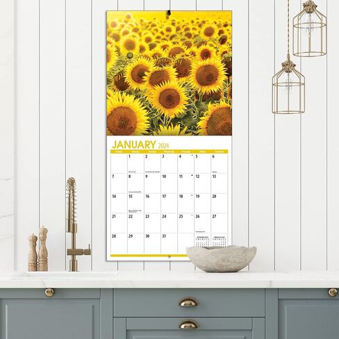 TURNER PHOTOGRAPHIC Sunflowers 12x12 Photo Wall Calendar (25998940054) in Saudi Arabia