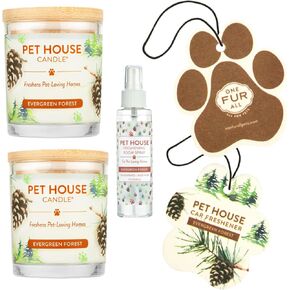 One Fur All Pet House Candle Value Pack -Plant-Based/Soy Candle - Clean Burning Scented Candles, Long Lasting Pet Odor Candle for Home - Evergreen Forest