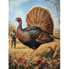 Kaliosy 5D Diamond Art Kits for Adults Turkey by Number Kits, Diamond Painting Art Animal DIY Full Drill Crystal Craft Cross Stitch Embroidery Decoration (12x16 inch) 30x40 cm