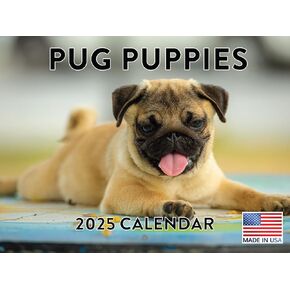 Pug Puppies Calendar 2025 Pug Puppy Monthly Wall Calender 12 Month | American Made In The USA