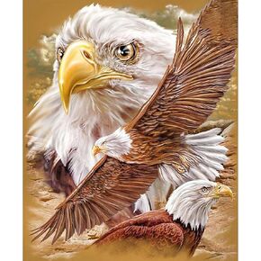FORLAND Eagle Diamond Painting Kits for Adults Beginners - 5D DIY Full Drill Diamond Kits Painting Crafts for Home Wall Decor, Diamond Art Kits,12x16inch