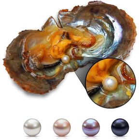5pcs Akoya Pearl Oysters لفتح محار اللؤلؤ بالمياه المالحة لحفل اللؤلؤ (6-7 مم ، أبيض/وردي/أرجواني/أسود)