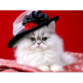 Reofrey DIY Diamond Art Painting Kits for AdultsCats, Diamond Art Cats Full Drill Round Rhinestone Diamond Art Painting Accessories, Cross Stitch Embroidery Canvas for Crafts Home Wall Decor 30x40cm