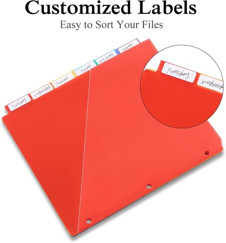 SEEKIND 24 Pack Binder Dividers with Pocket,24 Tab Binder Dividers for 3 Ring Binders,Subject Dividers for US Letter Size in 0.5, 1, 2, 3 inch Binders, Multicolor (24) in Saudi Arabia
